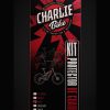 KIT ESTANDAR eBike